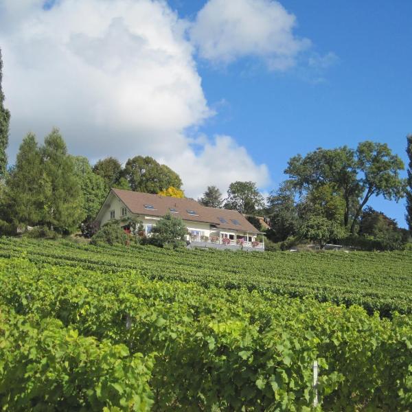 Domaine Beauregard