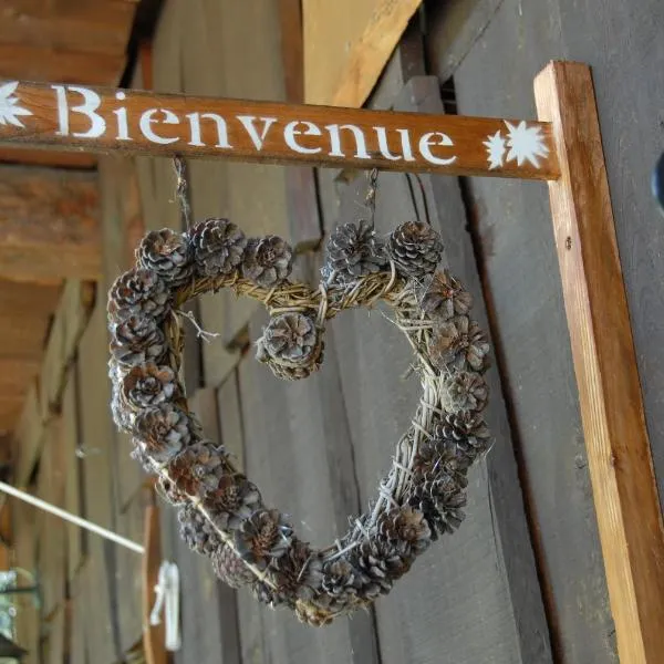 Hôtel Chalet Le Caribou, hotel em Les Saisies