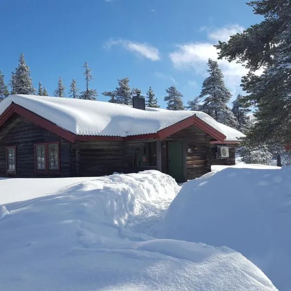 Sälens Bed & Breakfast Apartments, hotel in Sälen