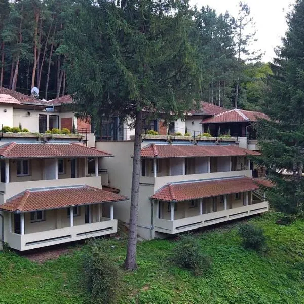 Restoran sa prenoćištem Gornjak – hotel w mieście Krepoljin