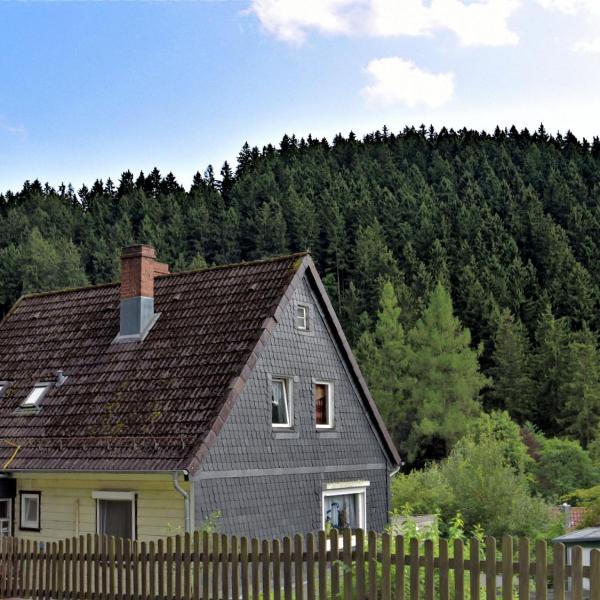 Pleasant Apartment in Wildemann amid Forest