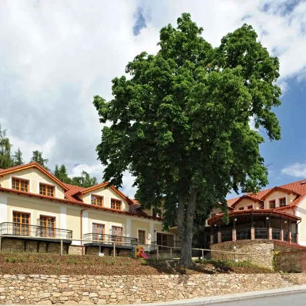 Hotel Gold Chotoviny, hotel in Chotoviny