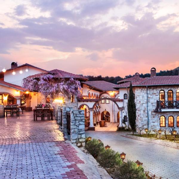 VINIFERA VINEYARDS HOTEL