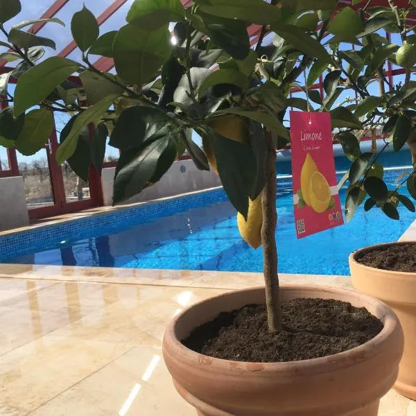 Kastanjegården på Stenshuvud, Hotel in Kivik