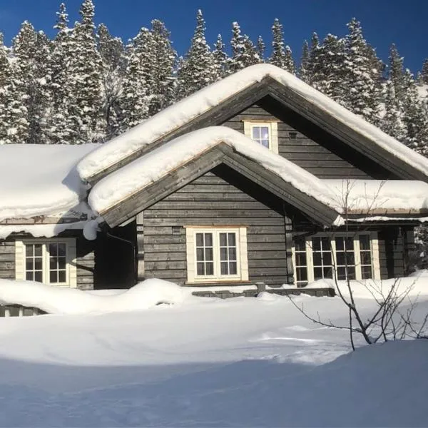 Kilen Lodge, hotel en Gaustablikk