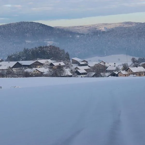 Gasthaus Zur Waldesruh, hotel en Waffenbrunn