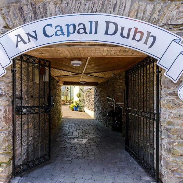 Dingle Centre Townhouse An Capall Dubh Dingle