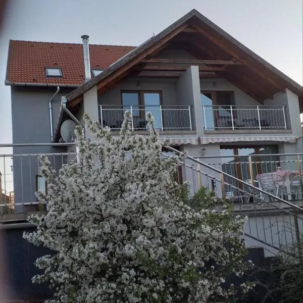 Villa Rigo Panzió, Hotel in Verpelét