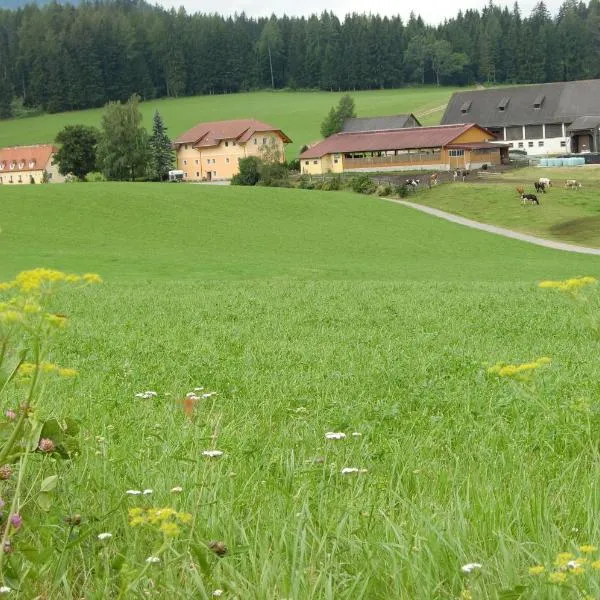 沃莱瑟乡村民宿,位于马里亚霍夫的酒店