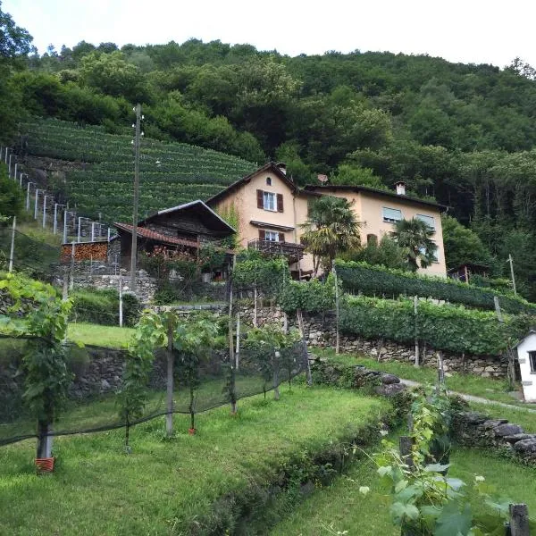 Casa immersa nel vigneto, hotel v destinaci Roveredo