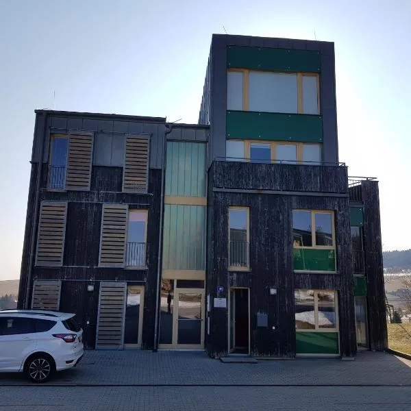 Loučná pod Klínovcem 120/3, hotel in Loučná pod Klínovcem