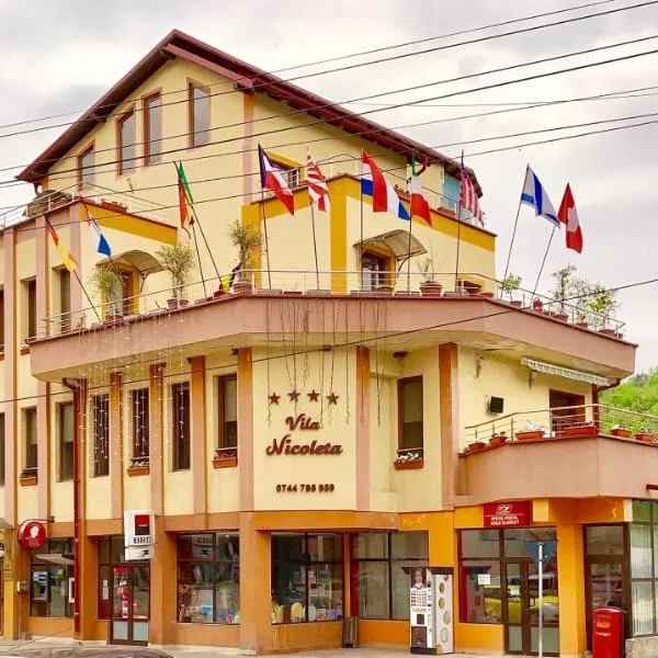 Vila Nicoleta, hotel in Băile Olăneşti