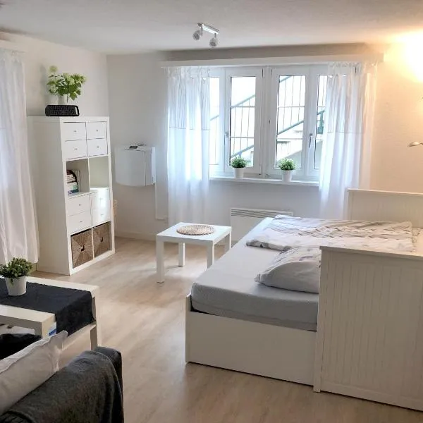 Ferienwohnung Erlinsbach SO, hotel em Niedererlinsbach