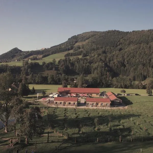 Flößerdorf Großraming,Grossraming的飯店