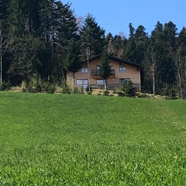 Ferienwohnung am Waldrand von Egg /Bregenzer Wald