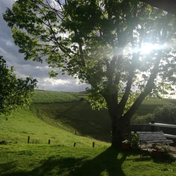 Alarpe Aterpetxea BSS00035, hotel in Zaldibia