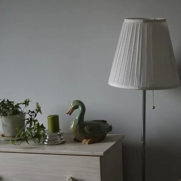 Zajazd Zielona Gęś, hotell sihtkohas Przytoczna 