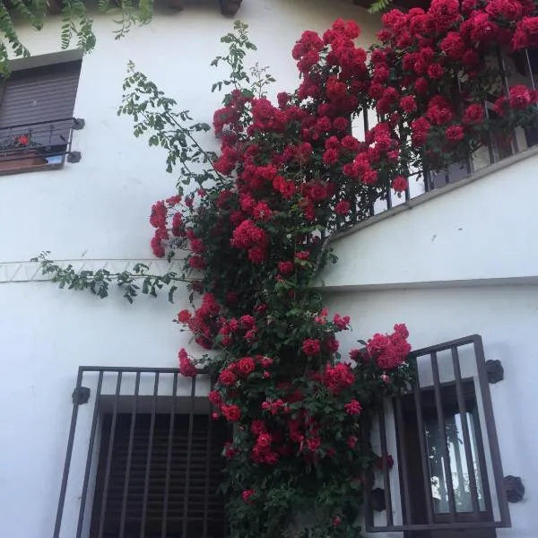 Casa Rural - Al Alba、Lanzahitaのホテル