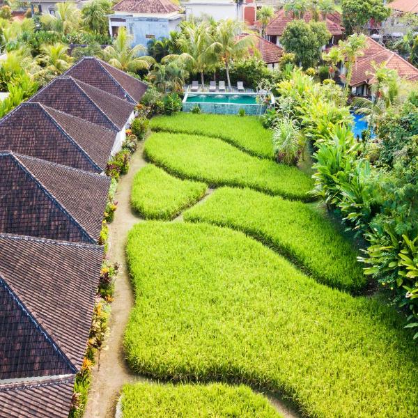 Abipraya Ubud