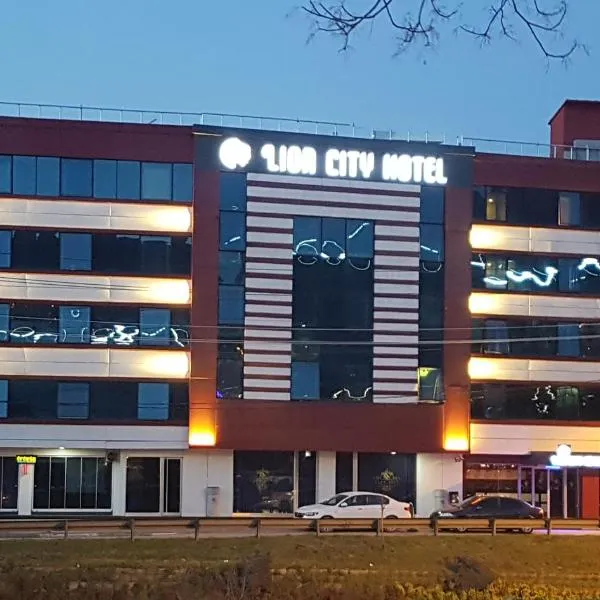 Lioncity Hotel, hotel v destinaci Bursa