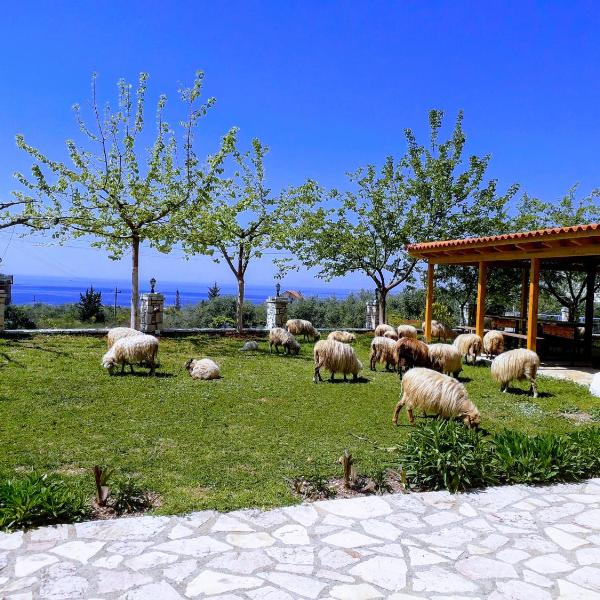 Agrotourism Himara