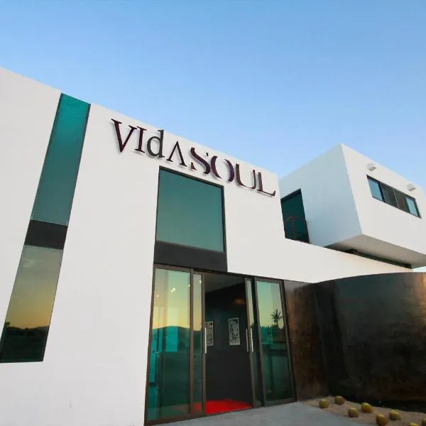 Vidasoul, hotel v destinaci Boca de la Vinorama