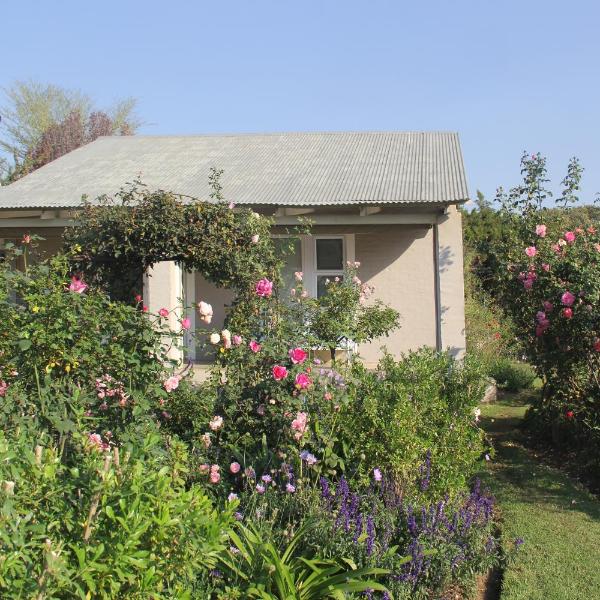 BELLA ROSA FARM