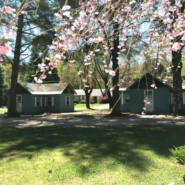 Pine Valley Cabins, hotell i Thornton