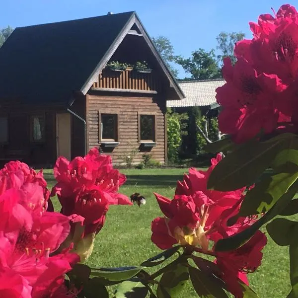 Melluzi chalet, hotel din Jūrmala