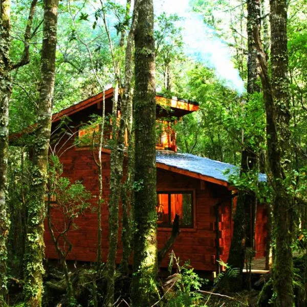 Cabañas Bosque Milenario、コニャリーペのホテル