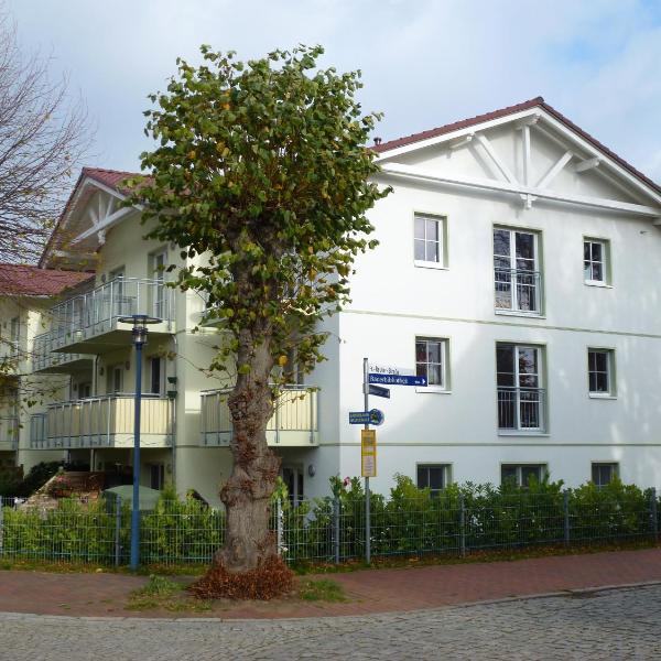 Ferienwohnung am Rhododendronpark, 300 m zum Strand