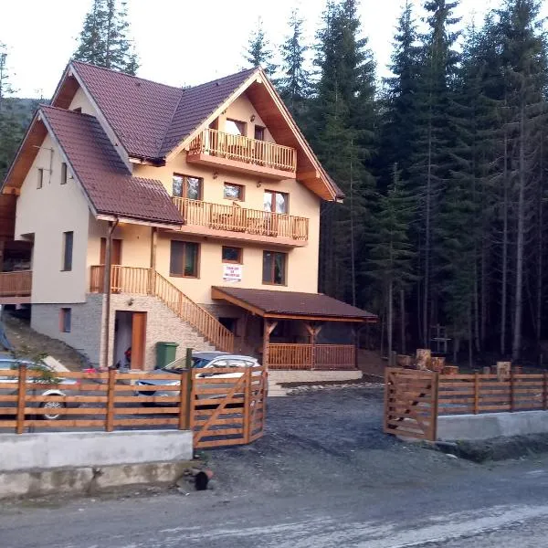 Vidra Parc, hotel in Voineasa