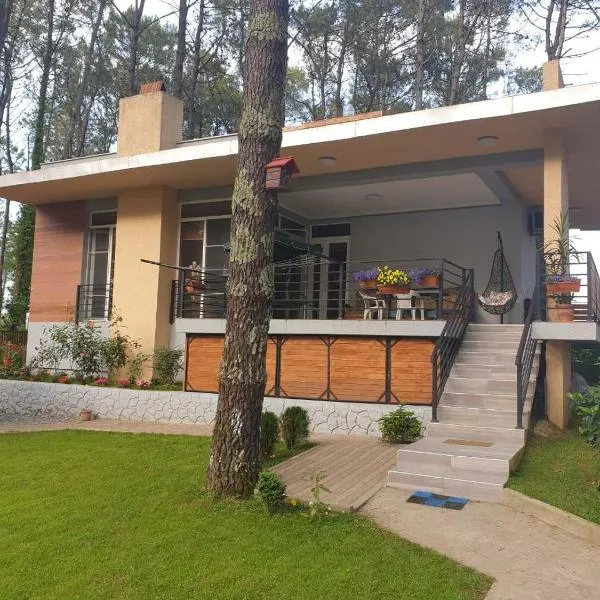 Shekvetili Big Wonder, hotell sihtkohas Shekhvetili