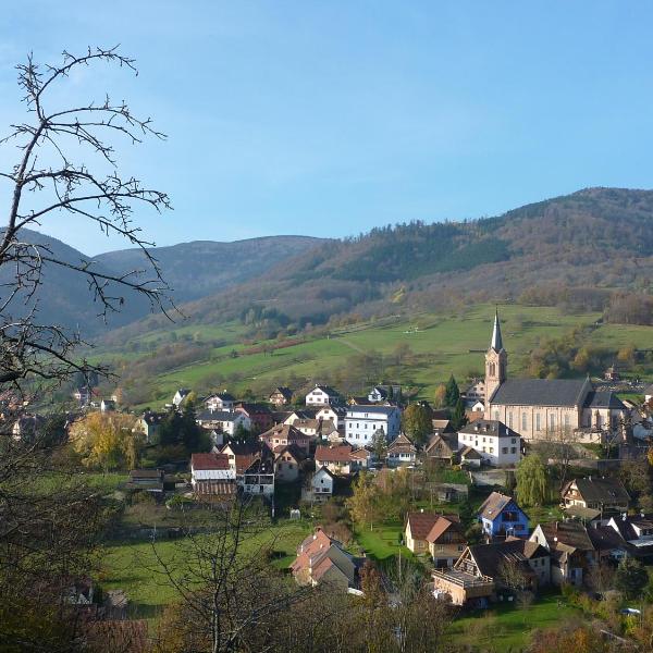 Gîte Schlitteur Et Sapiniere