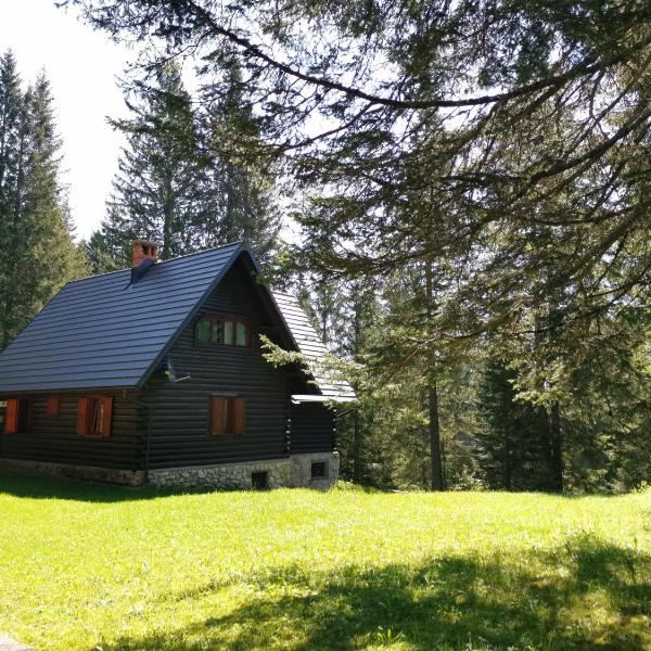 Chalet Stara Jelka Pokljuka