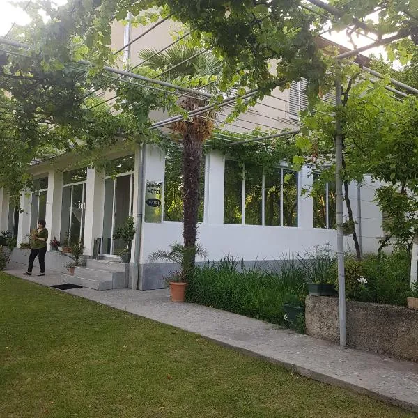 Hotel Villa DavidL, hotel in Sagarejo