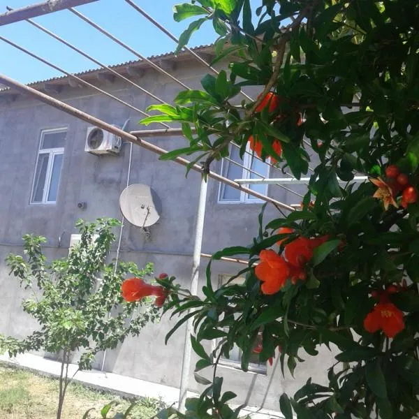 Guest House near Baku airport, hotell Bakuus