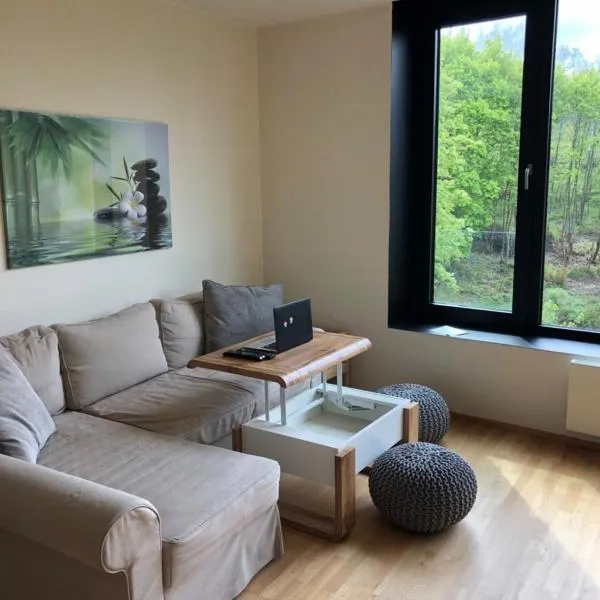 Triplex Residence, Lux-appartment in the central part, hotel in Karlovy Vary
