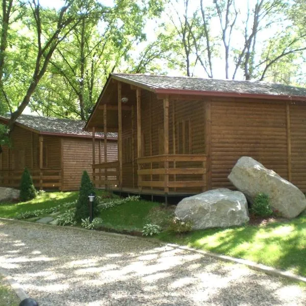 Anthares World Resort, hotel v destinaci Candia Canavese