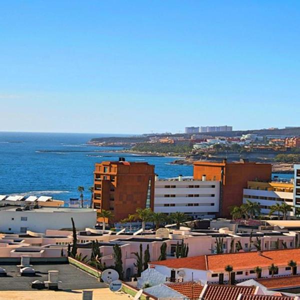 Palmeras del Sur 1S