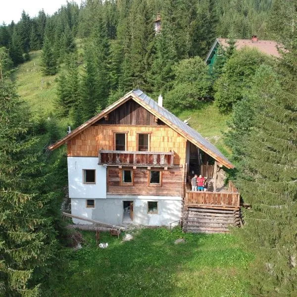 Ferienhaus Flattnitz, hotel in Flattnitz