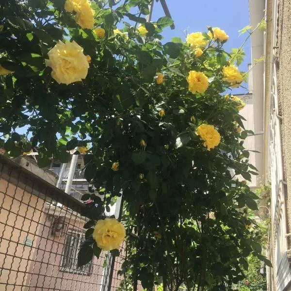 Ludmila guest house - гостевой дом "Людмила", ξενοδοχείο στην Οδησσό