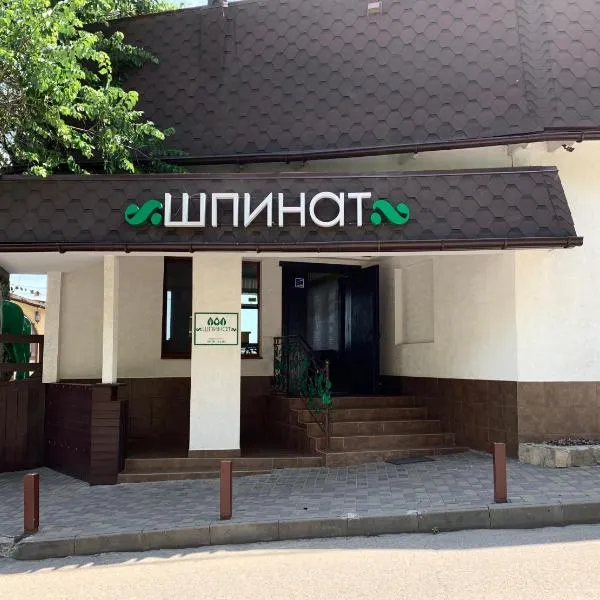 Shpinat, hotel in Odesa