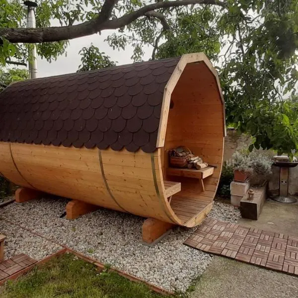 SAUNA Dom, hotel in Pezinok