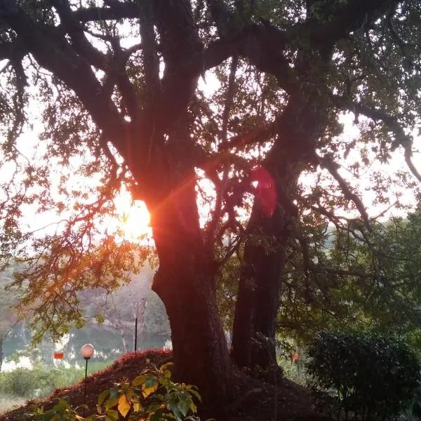 Tatenda Guest House, hotel in Hazyview