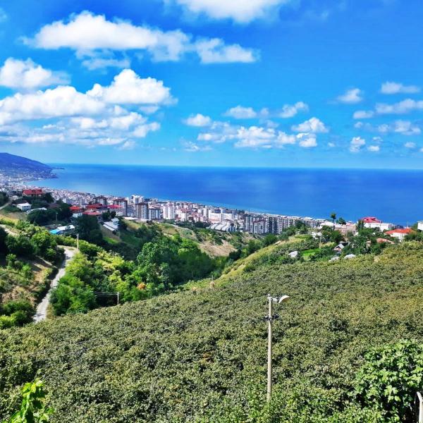 Paradise Villa Trabzon