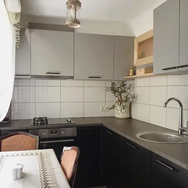 P Stradiņa Street 17, готель у місті Вентспілс