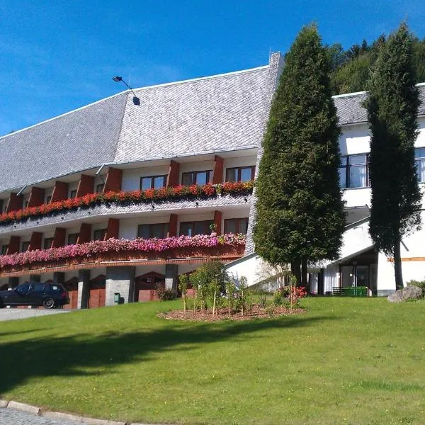Horský Hotel Neptun, ξενοδοχείο σε Mala Moravka