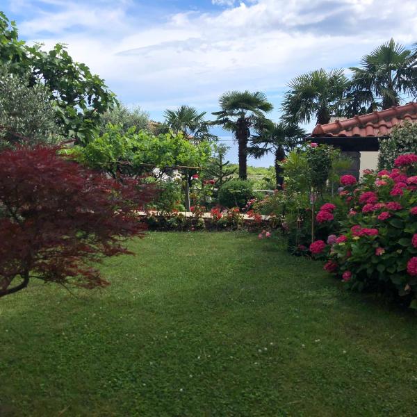 Palm Garden Apartment