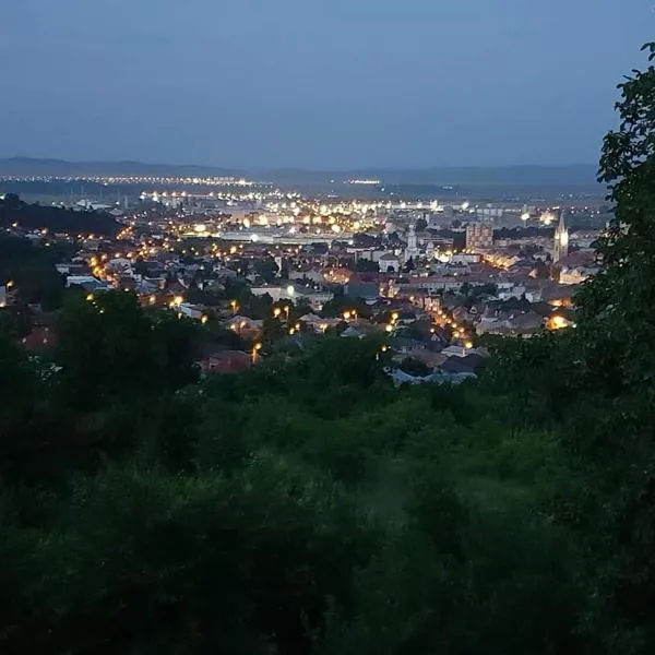 Bella Vista Turda, hotel in Turda
